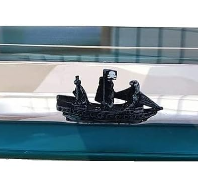 Barco Insumergible 